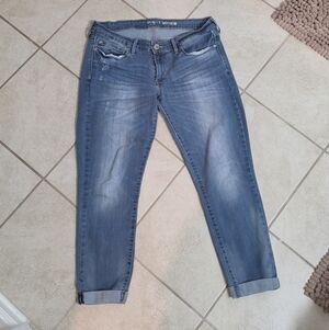 Denizen from Levi's Blue Ankle Jeans